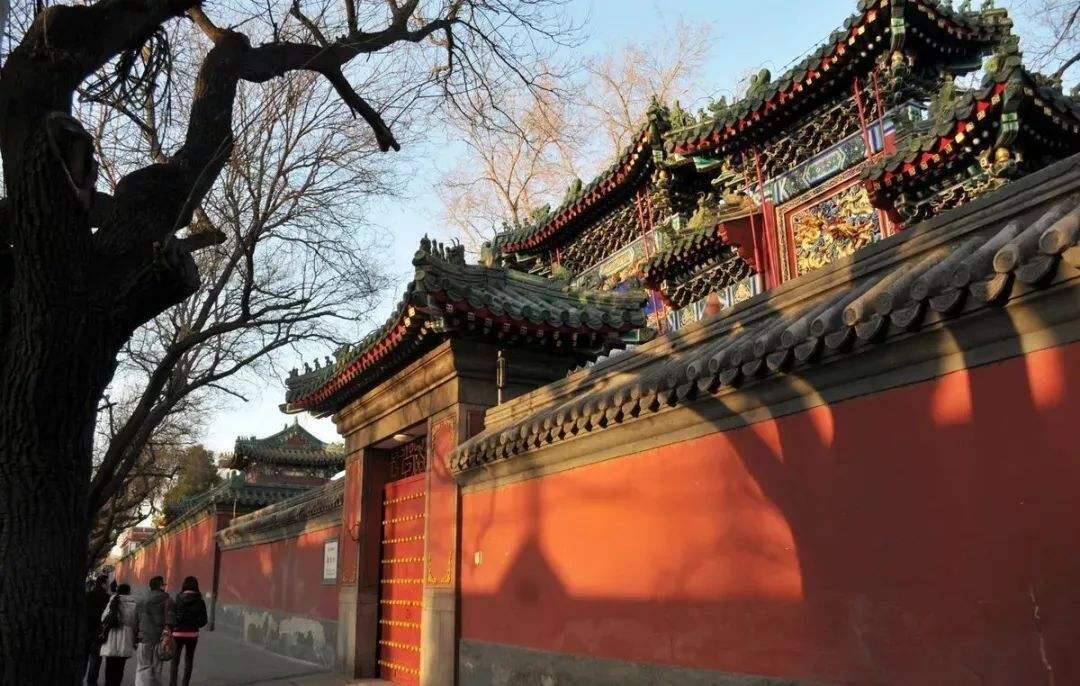 Repair ancient buildings with carbon fiber reinforced polymer Repair ancient buildings with carbon fiber reinforced polymer