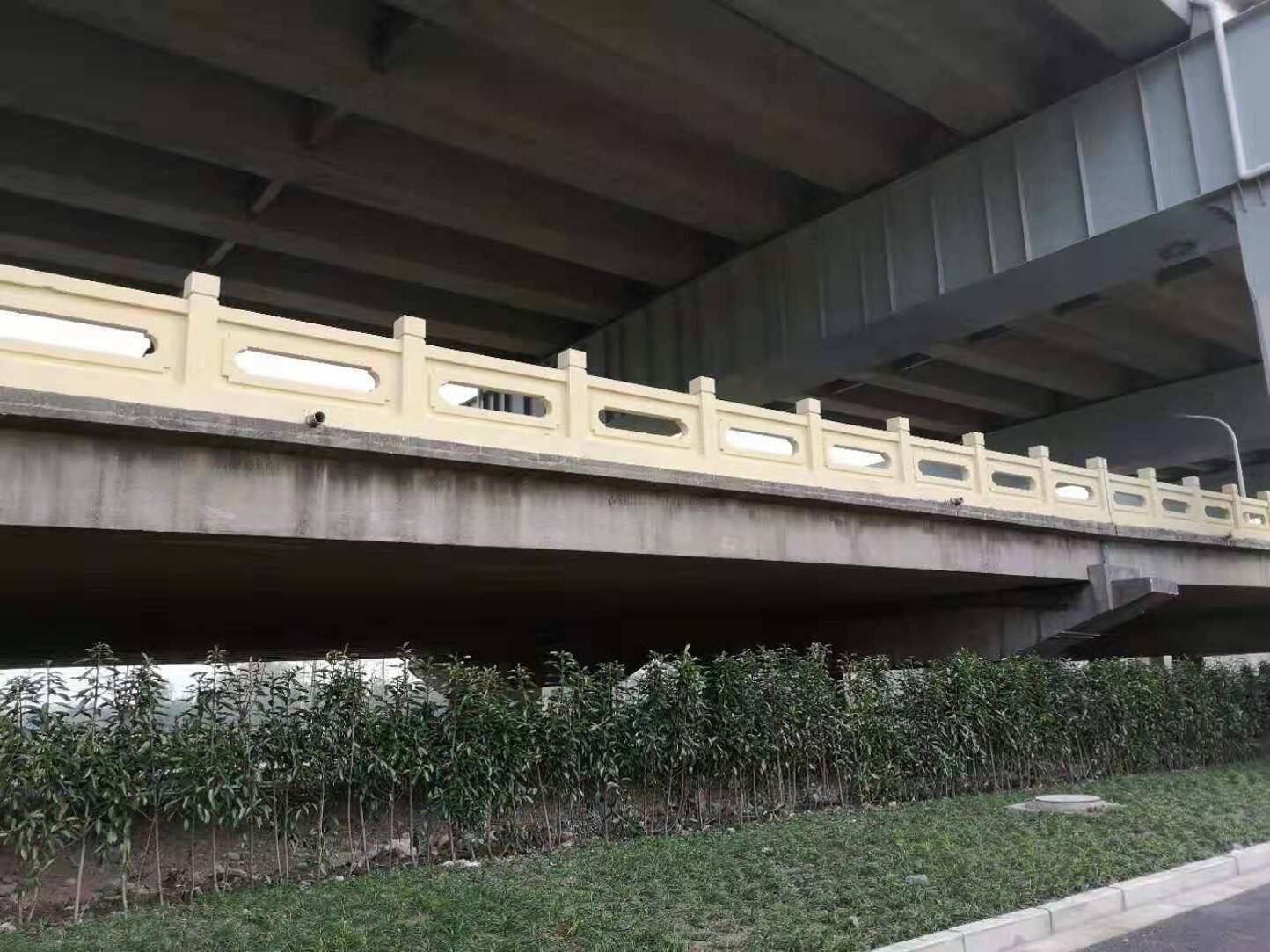1639991156919881.jpg