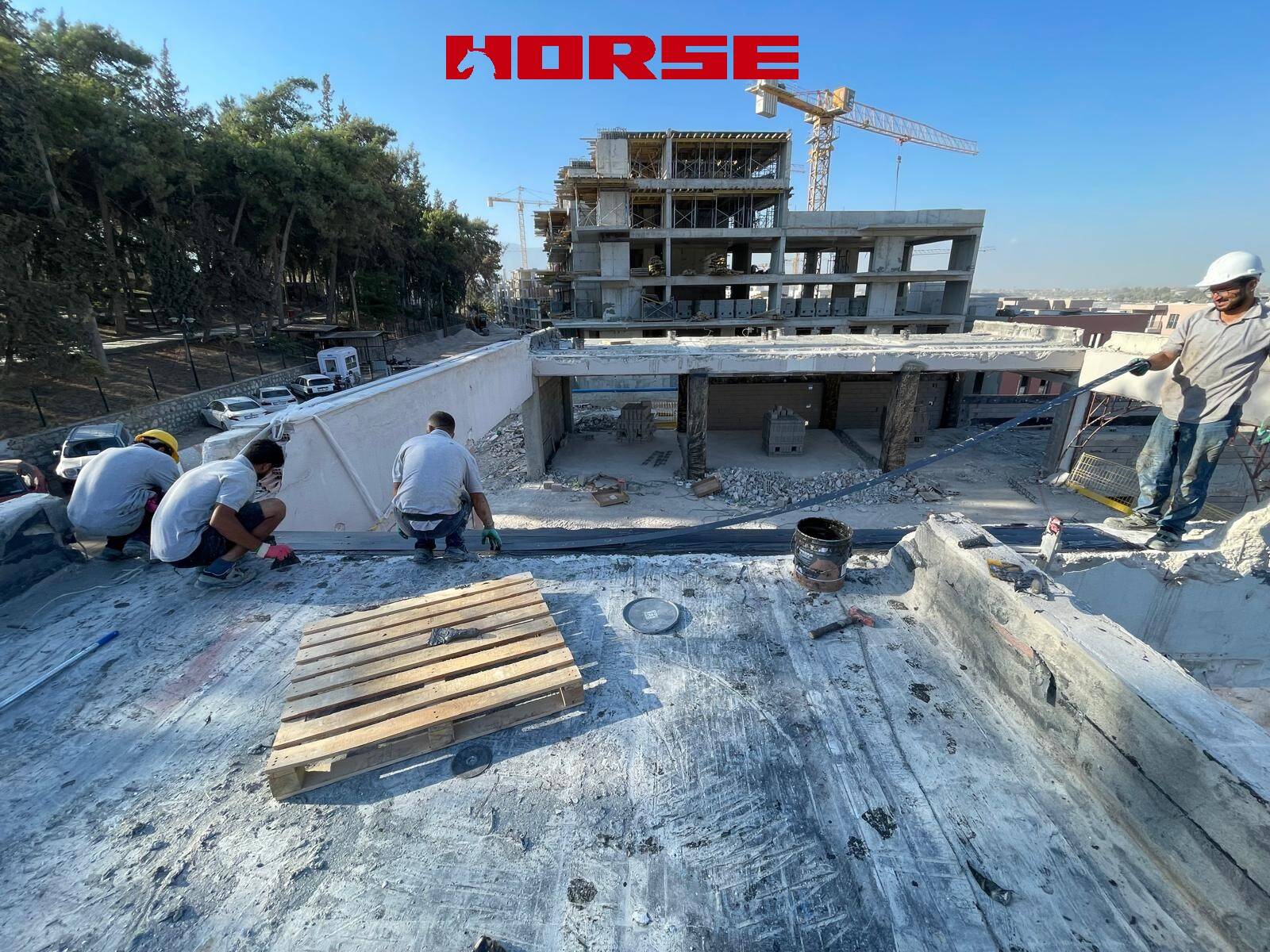 Carbon Fiber Plate for "Structural Defects" Carbon Fiber Plate for "Structural Defects"